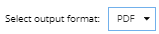3. Select the Report Output Format
