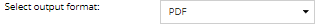 7. Output Format