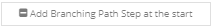 10. Add Branching Path Step at the start